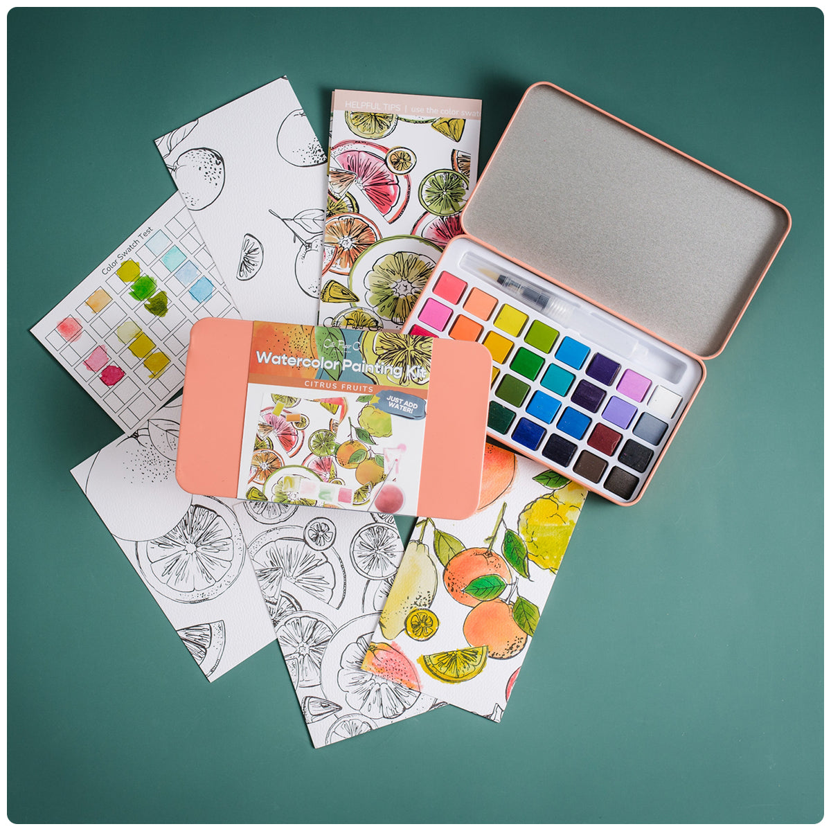 Citrus Watercolor Painting Kit