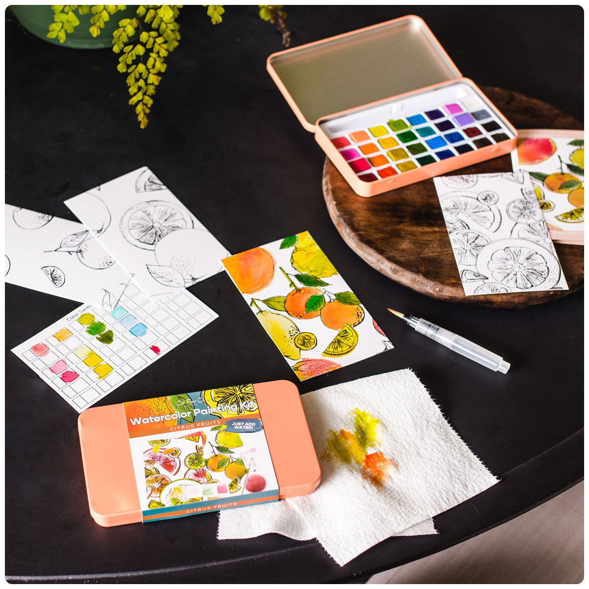 Citrus Watercolor Painting Kit