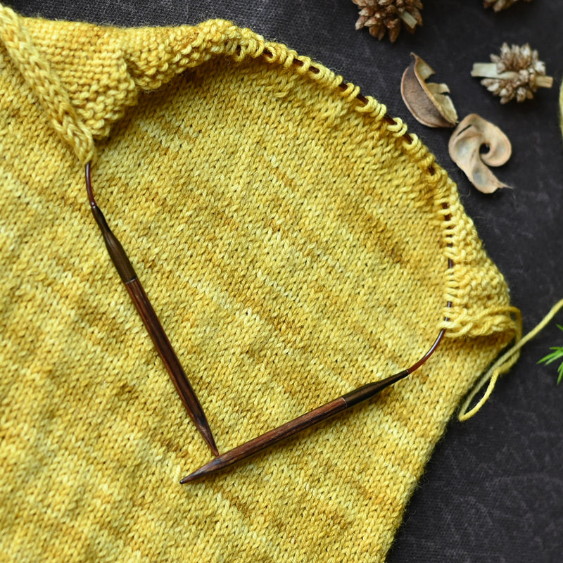 Ginger fixed circular needles