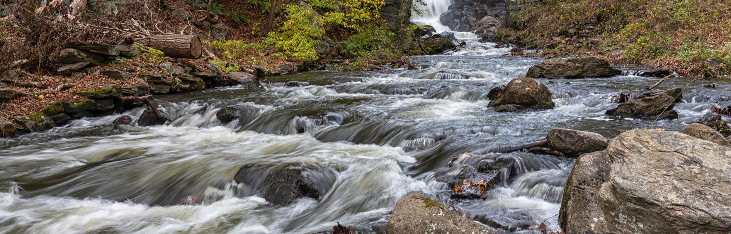 A Cozy Escape: Stars Hollow Yarns’ Local Guide to the Litchfield Hills