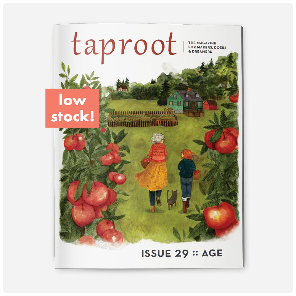 Taproot Magazine (Back Issues)