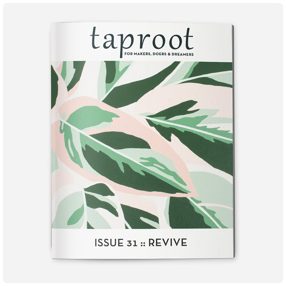 Taproot Magazine (Back Issues)