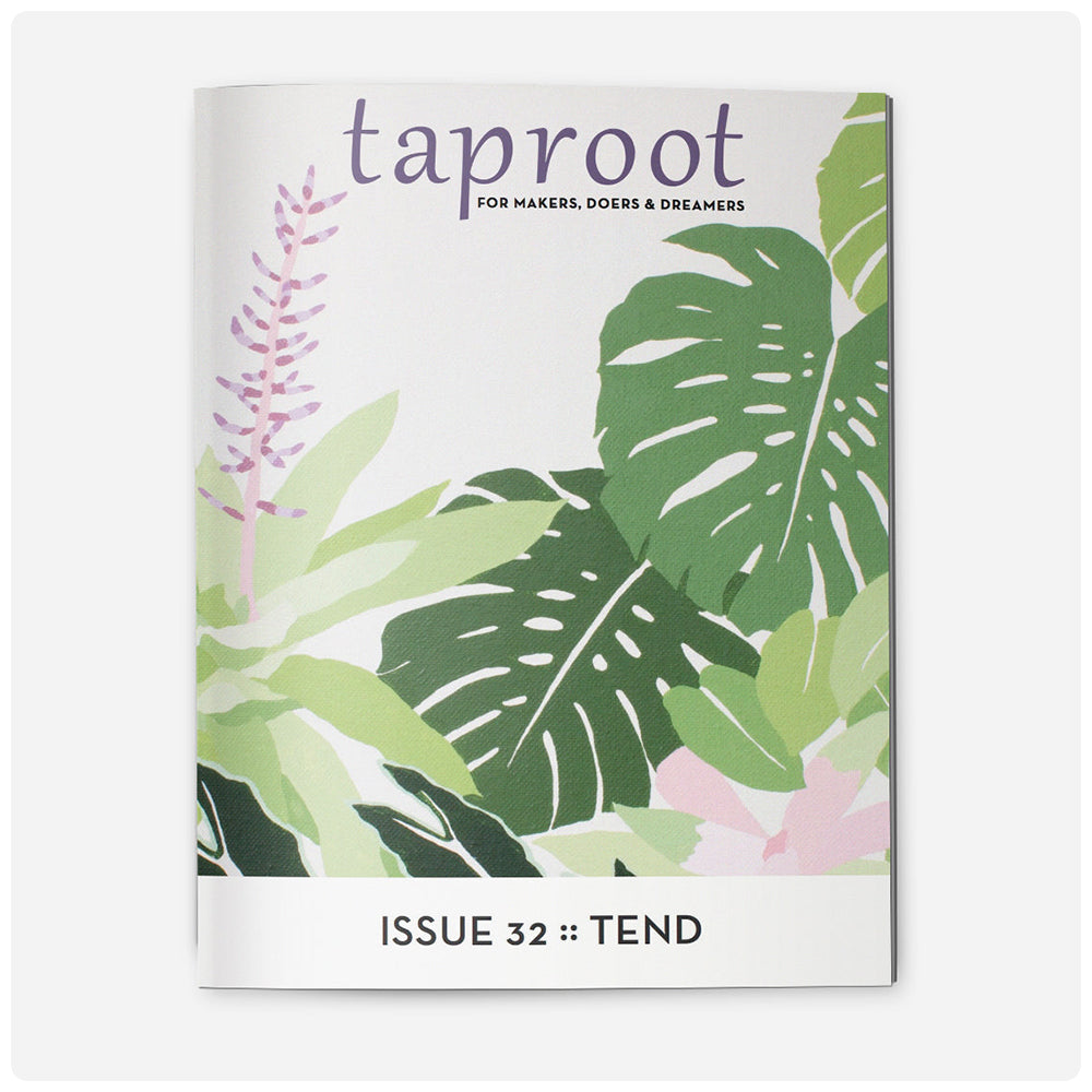 Taproot Magazine (Back Issues)