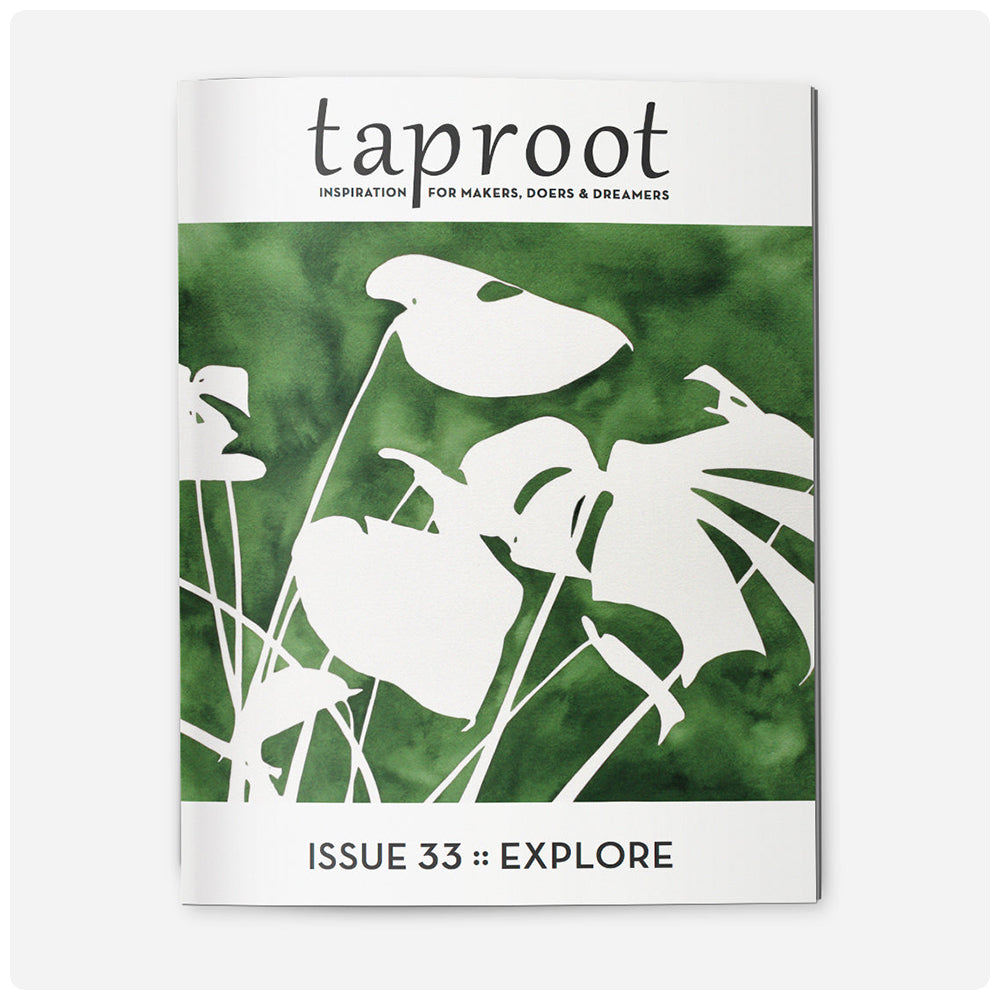 Taproot Magazine (Back Issues)