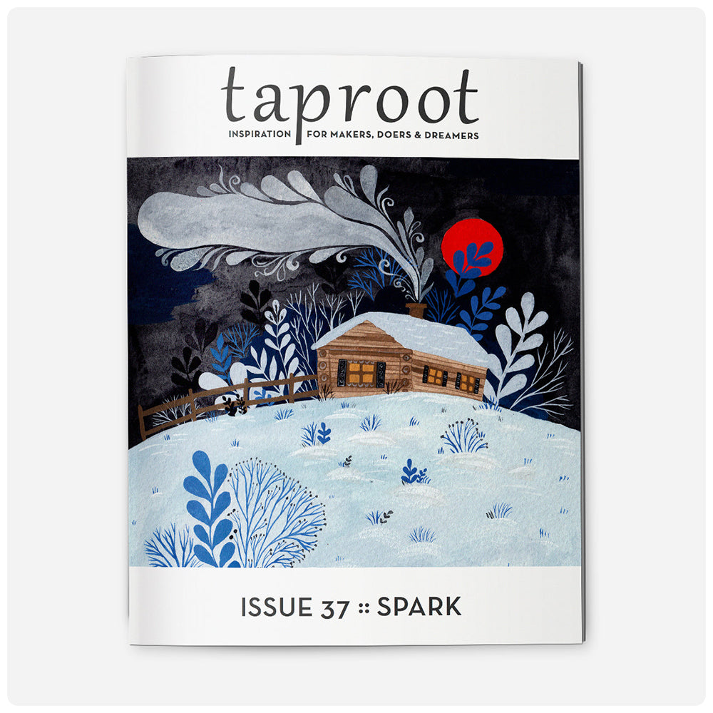 Taproot Magazine (Back Issues)