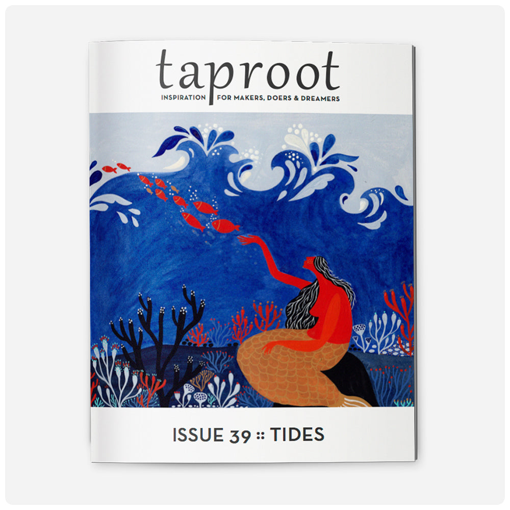 Taproot Magazine (Back Issues)