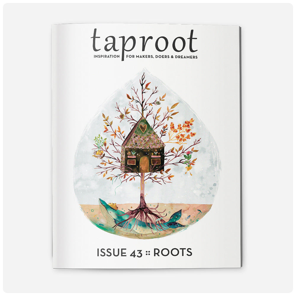 Taproot Magazine (Back Issues)