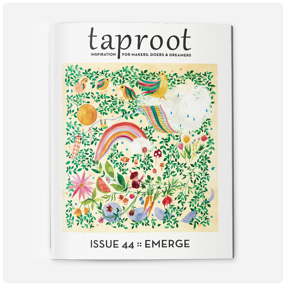 Taproot Magazine (Back Issues)