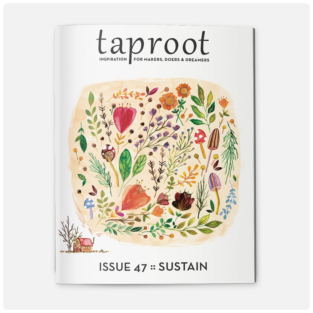 Taproot Magazine (Back Issues)