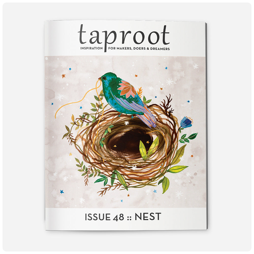 Taproot Magazine (Back Issues)