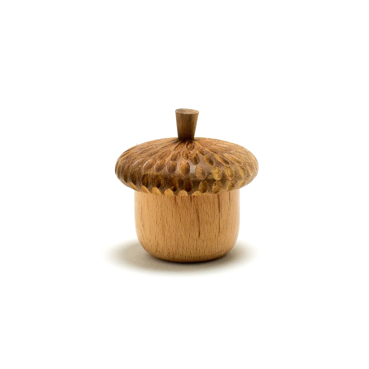 Acorn Notions Holder