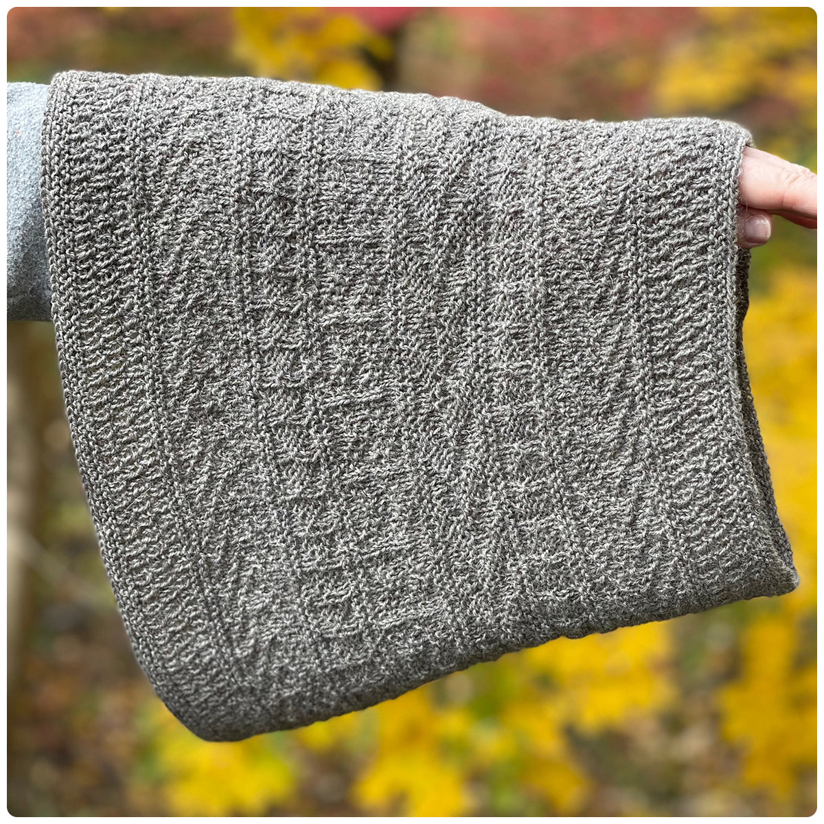 Beyond Basics : Knit Samplers