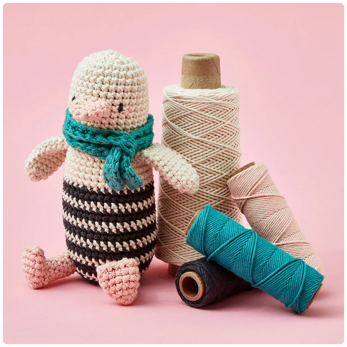 Learn to Crochet Kits