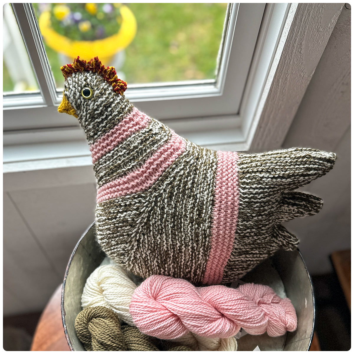 Emotional Support Chicken Kits
