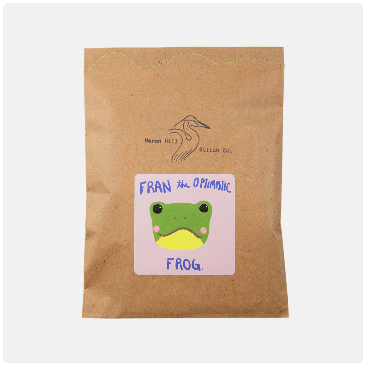 Fran the Optimistic Frog Craft Kit