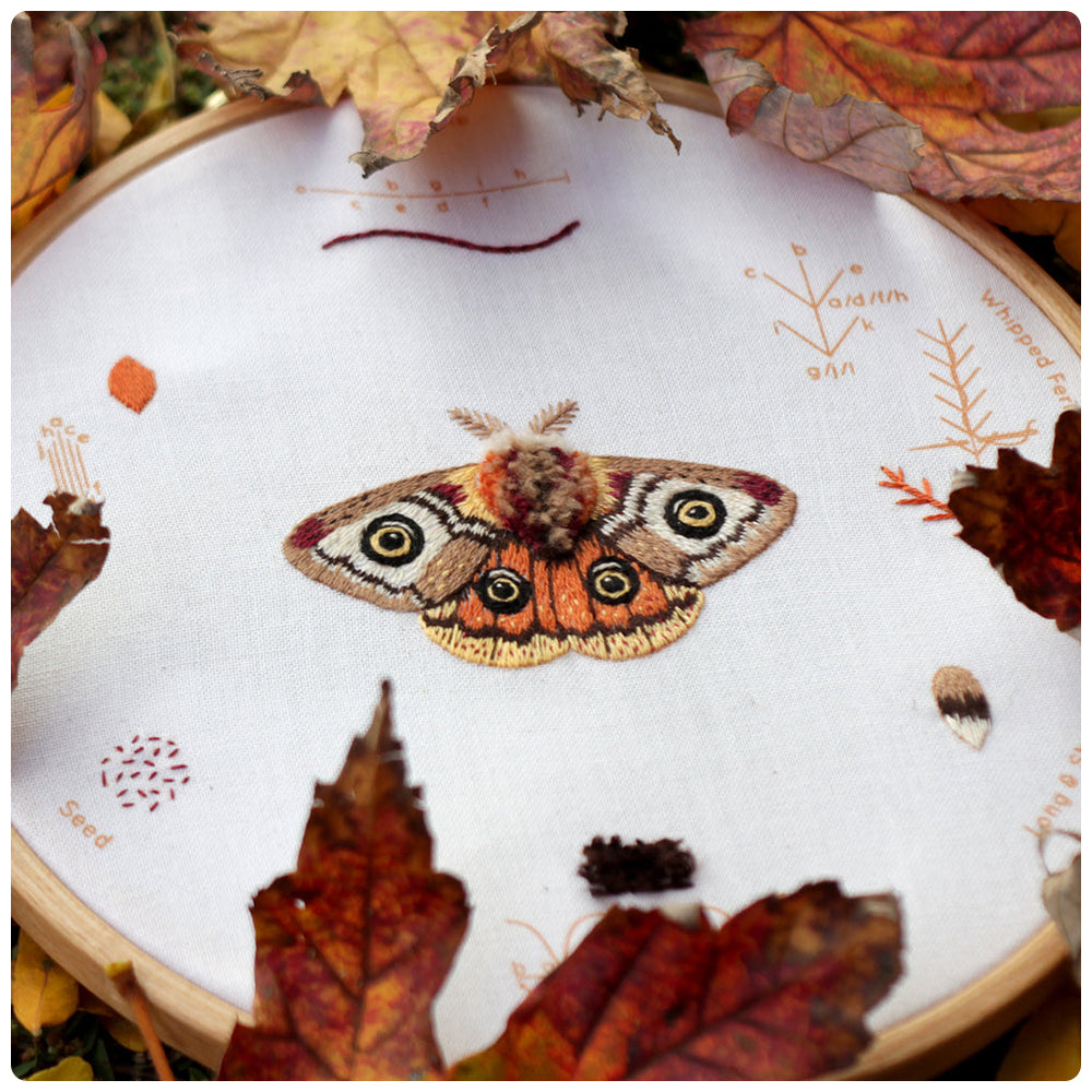 Moth Embroidery Stitch Sampler
