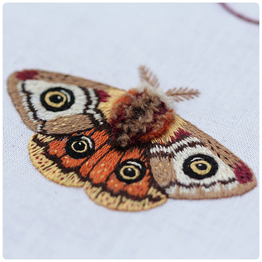 Moth Embroidery Stitch Sampler