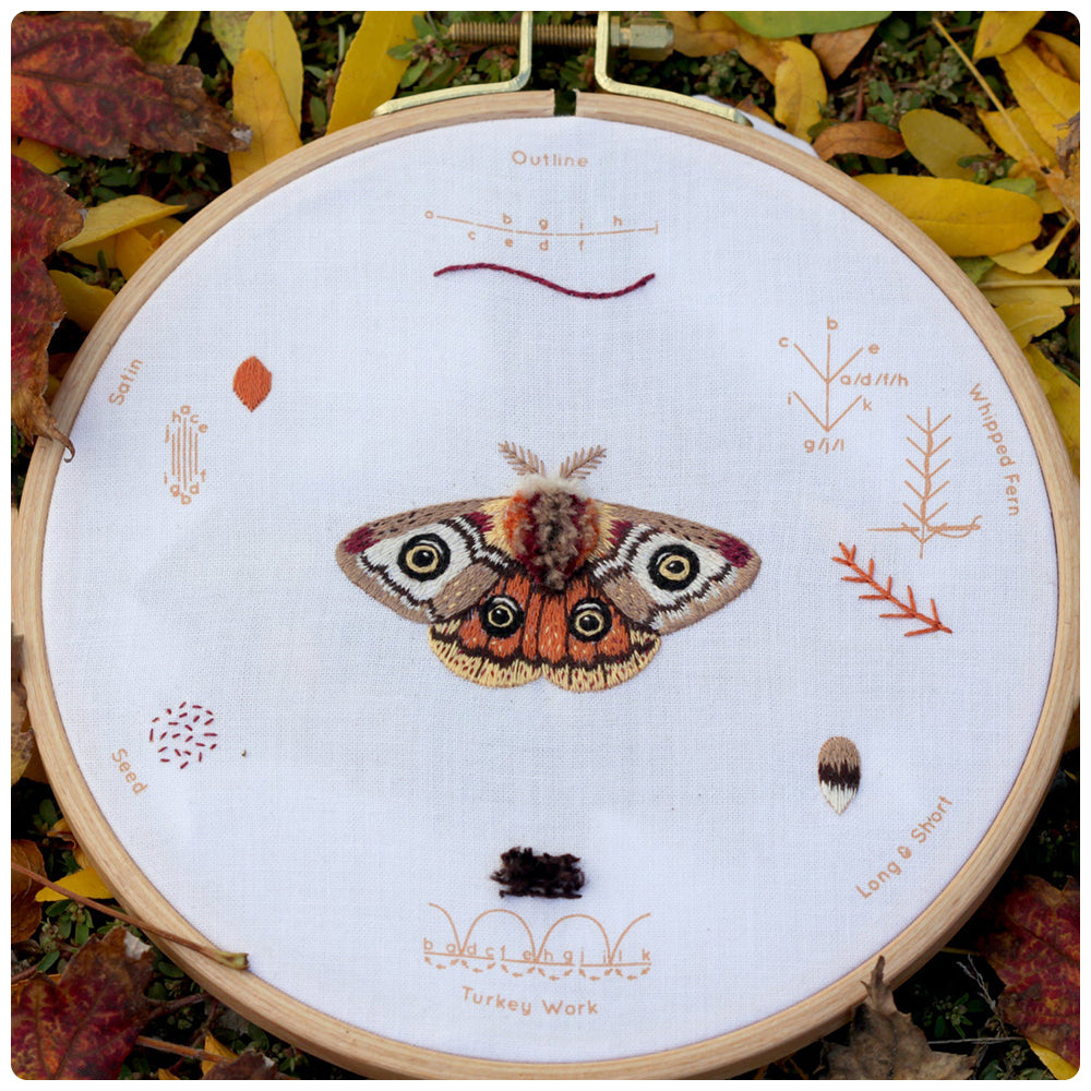 Moth Embroidery Stitch Sampler