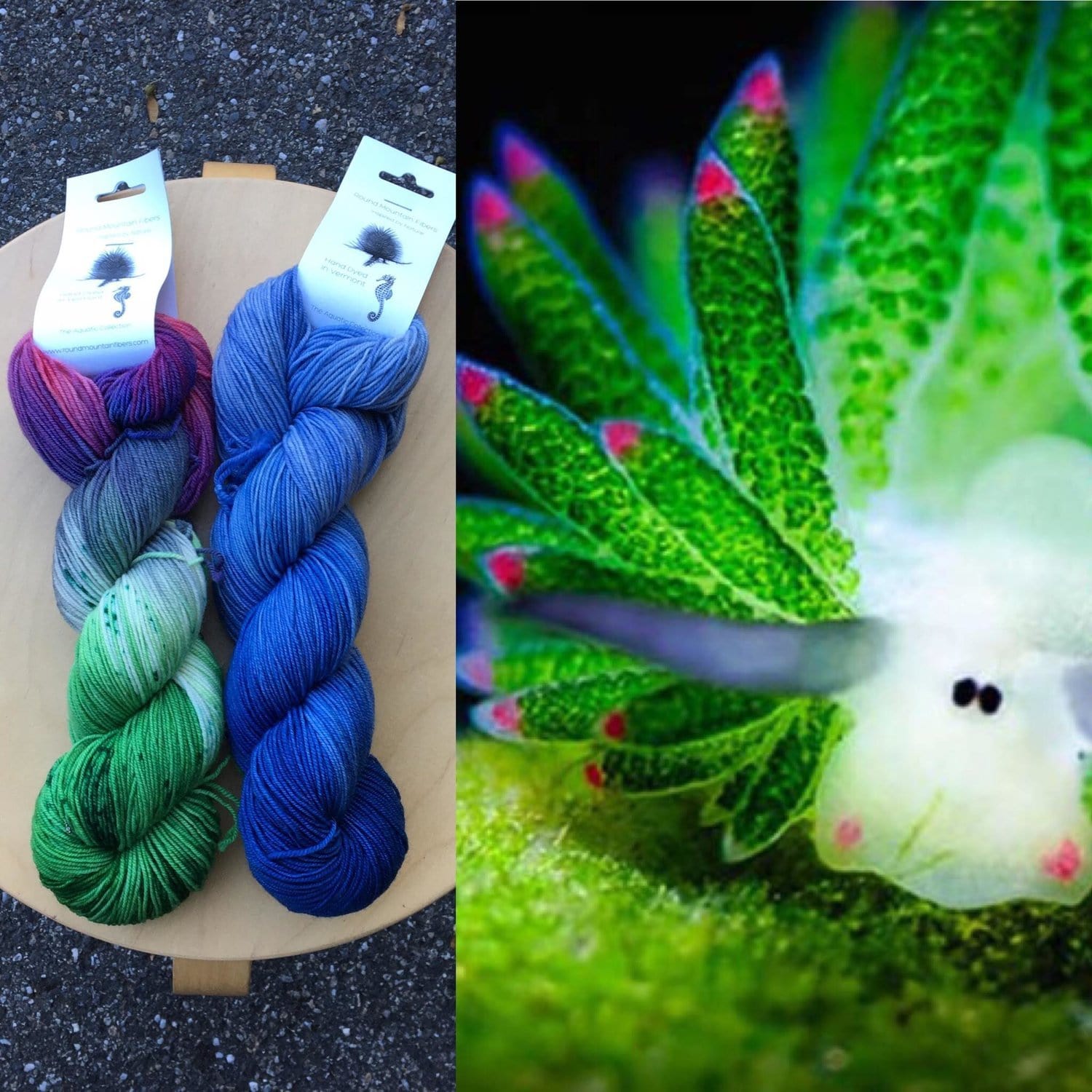 Spruce Fingering (merino)