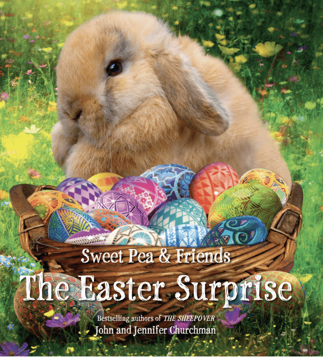 The Easter Surprise (board book)