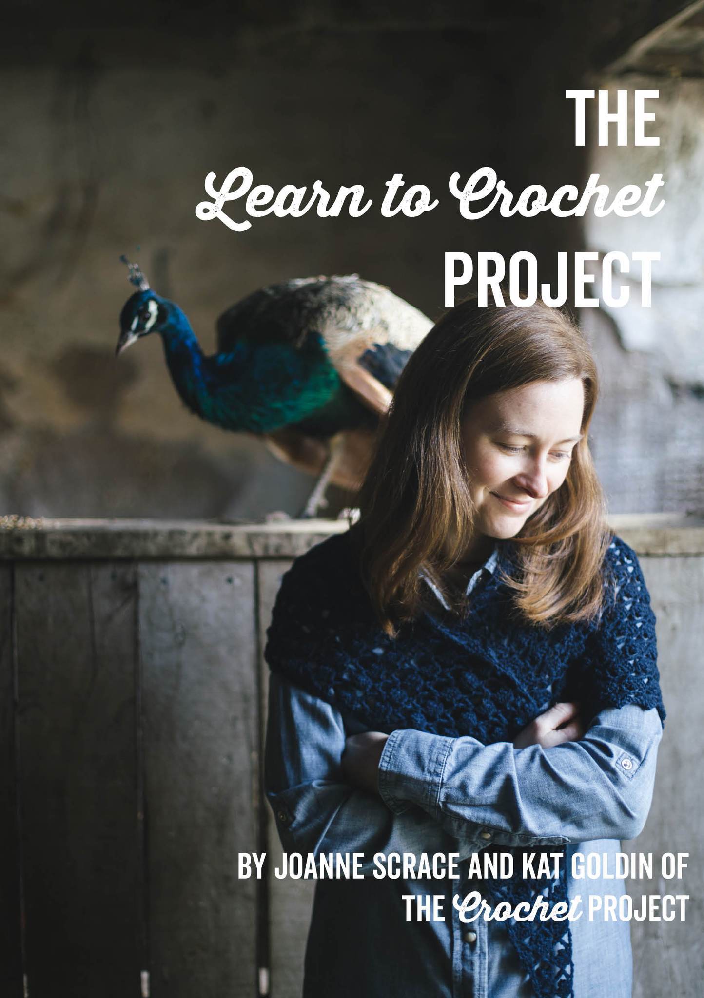 The Learn to Crochet Project