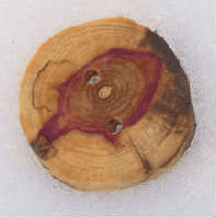 Favour Valley Woodworking button